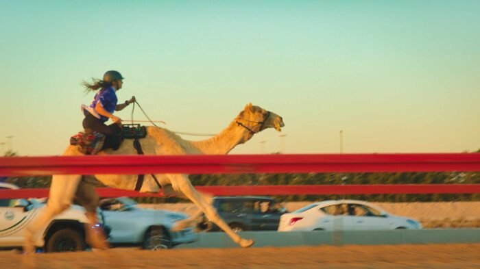 camel race